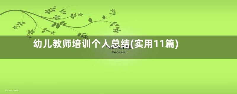 幼儿教师培训个人总结(实用11篇)