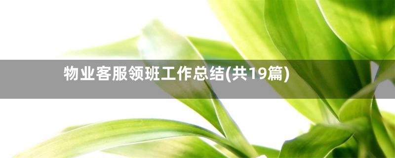 物业客服领班工作总结(共19篇)