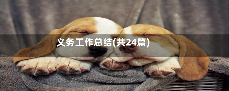 义务工作总结(共24篇)