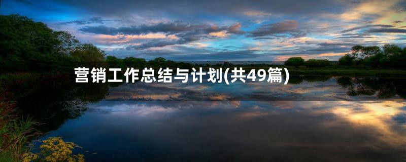 营销工作总结与计划(共49篇)