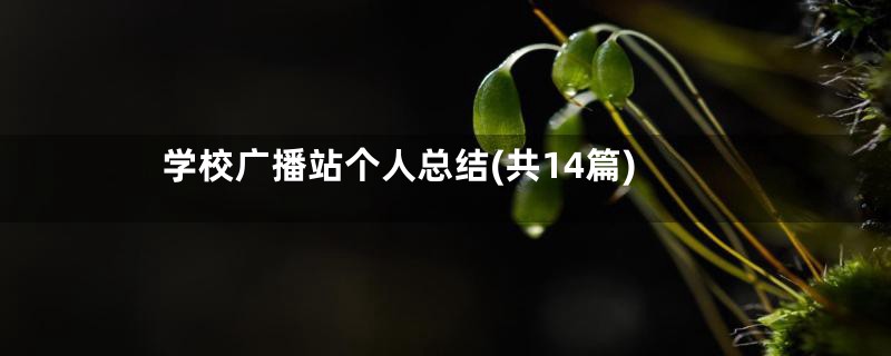 学校广播站个人总结(共14篇)