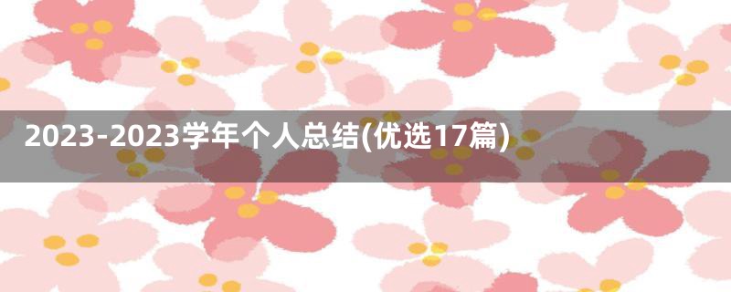 2023-2023学年个人总结(优选17篇)
