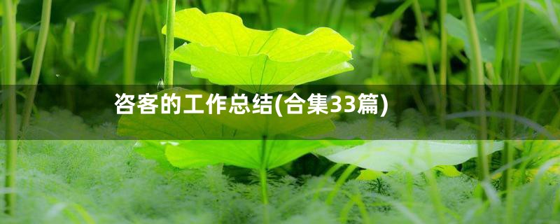 咨客的工作总结(合集33篇)