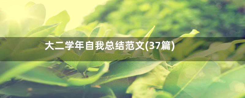 大二学年自我总结范文(37篇)