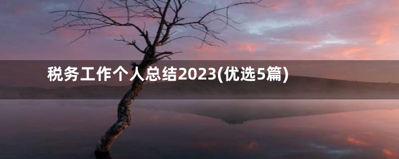 税务工作个人总结2023(优选5篇)