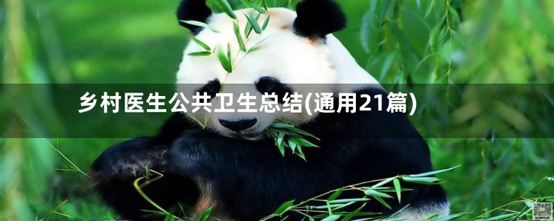 乡村医生公共卫生总结(通用21篇)
