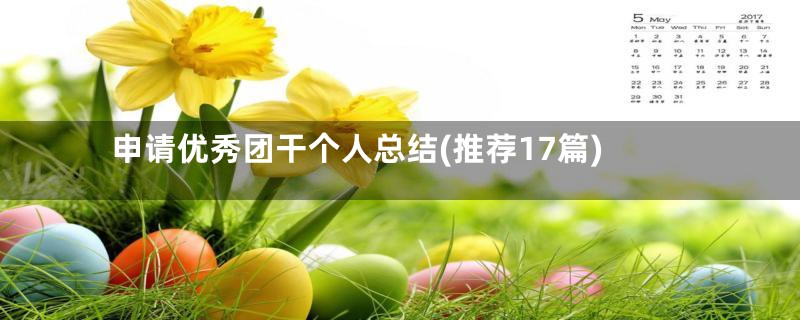 申请优秀团干个人总结(推荐17篇)