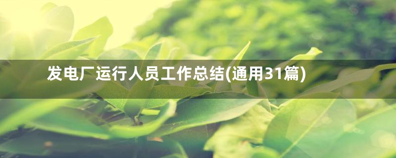 发电厂运行人员工作总结(通用31篇)