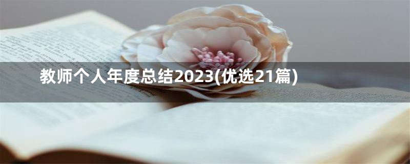 教师个人年度总结2023(优选21篇)