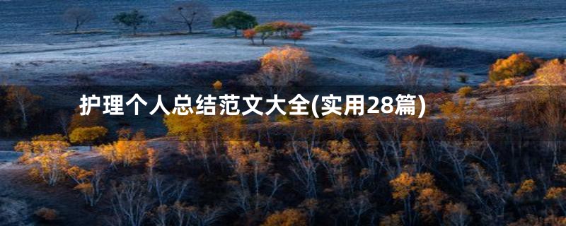 护理个人总结范文大全(实用28篇)