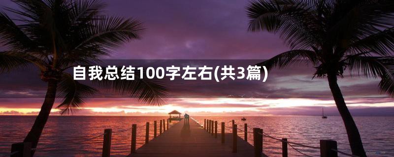 自我总结100字左右(共3篇)