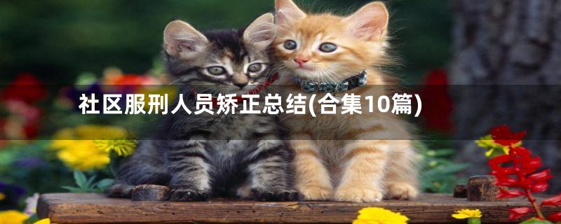 社区服刑人员矫正总结(合集10篇)