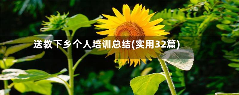 送教下乡个人培训总结(实用32篇)