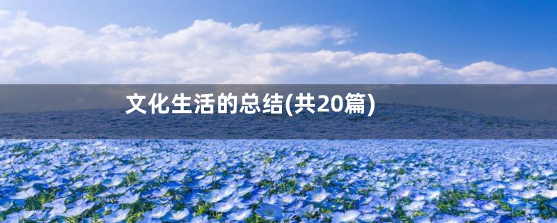 文化生活的总结(共20篇)