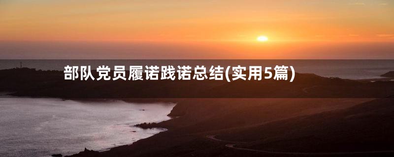 部队党员履诺践诺总结(实用5篇)