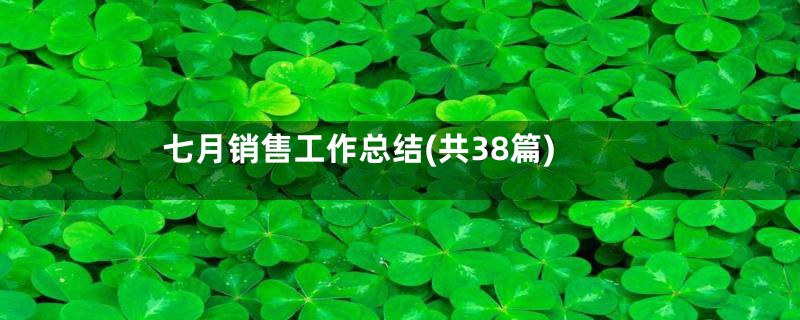 七月销售工作总结(共38篇)