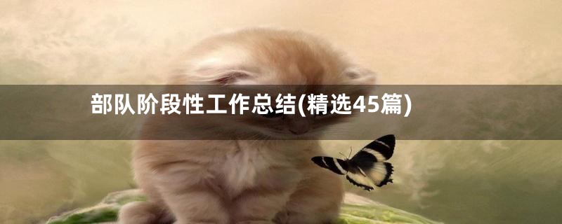 部队阶段性工作总结(精选45篇)