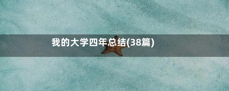我的大学四年总结(38篇)