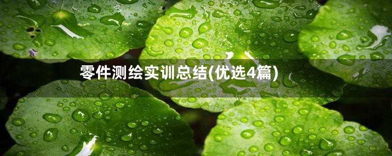 零件测绘实训总结(优选4篇)