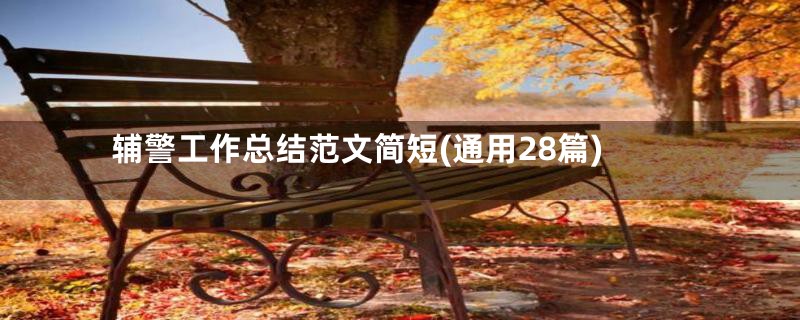 辅警工作总结范文简短(通用28篇)