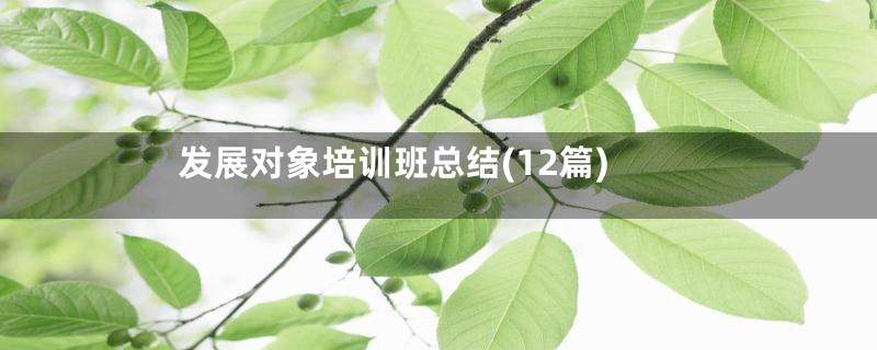 发展对象培训班总结(12篇)