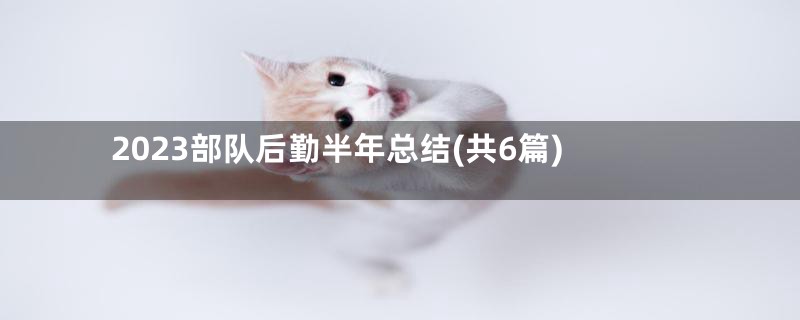 2023部队后勤半年总结(共6篇)