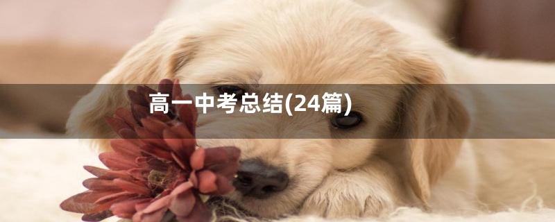 高一中考总结(24篇)