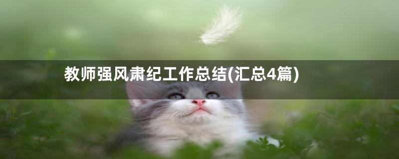 教师强风肃纪工作总结(汇总4篇)