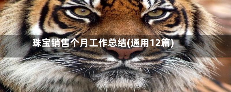 珠宝销售个月工作总结(通用12篇)