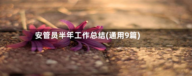 安管员半年工作总结(通用9篇)