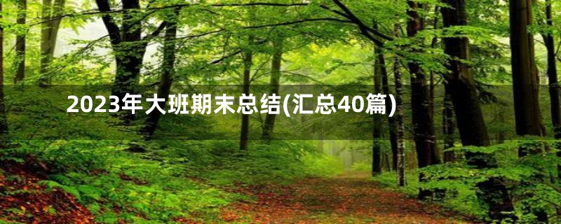 2023年大班期末总结(汇总40篇)