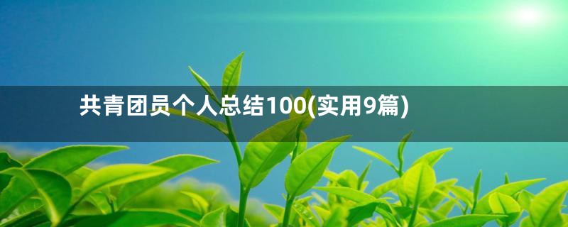 共青团员个人总结100(实用9篇)