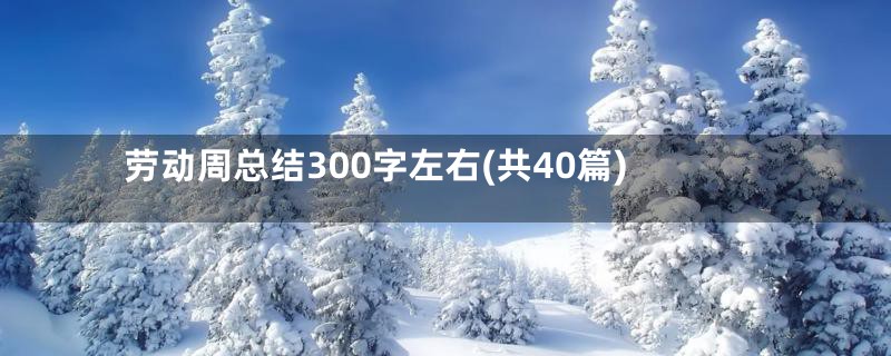 劳动周总结300字左右(共40篇)