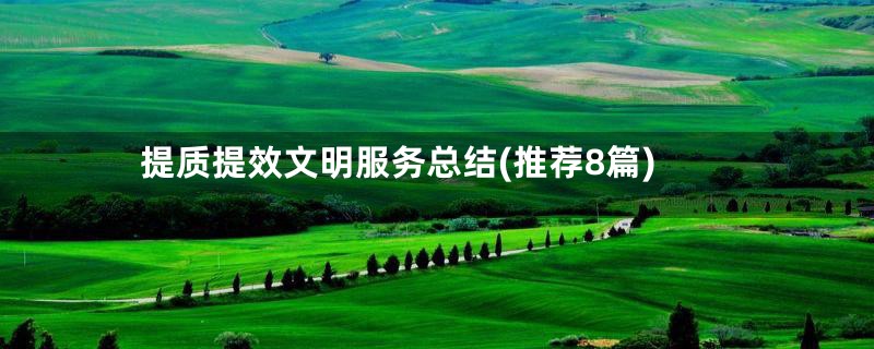 提质提效文明服务总结(推荐8篇)