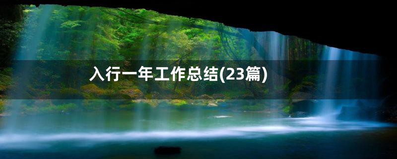 入行一年工作总结(23篇)