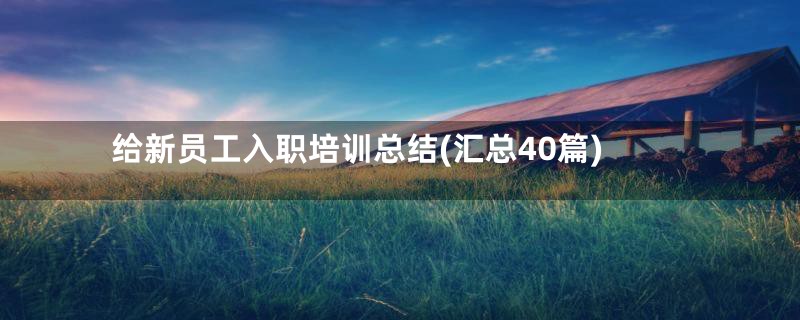 给新员工入职培训总结(汇总40篇)