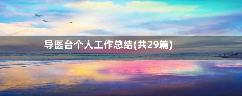 导医台个人工作总结(共29篇)