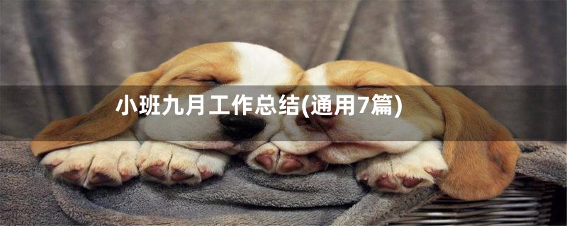 小班九月工作总结(通用7篇)