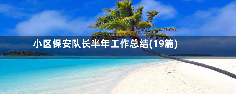 小区保安队长半年工作总结(19篇)