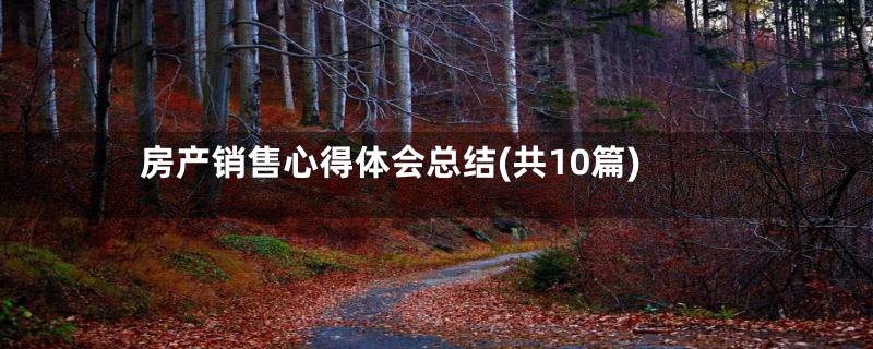 房产销售心得体会总结(共10篇)