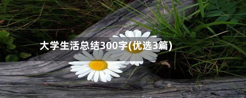 大学生活总结300字(优选3篇)