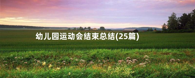 幼儿园运动会结束总结(25篇)