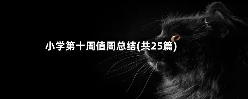 小学第十周值周总结(共25篇)