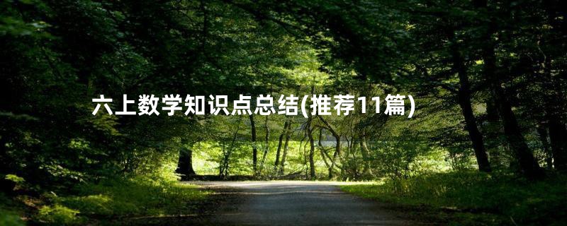 六上数学知识点总结(推荐11篇)