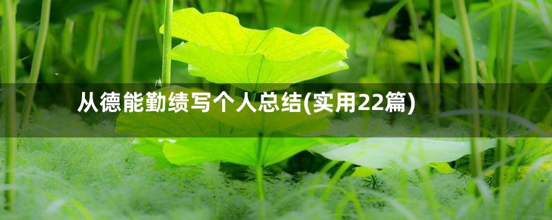 从德能勤绩写个人总结(实用22篇)
