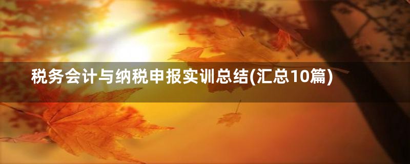 税务会计与纳税申报实训总结(汇总10篇)
