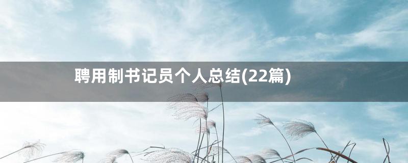 聘用制书记员个人总结(22篇)