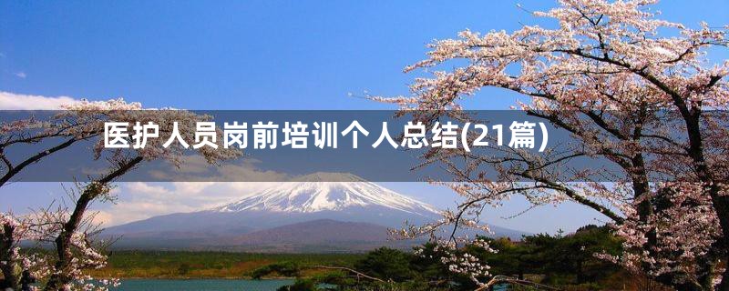 医护人员岗前培训个人总结(21篇)