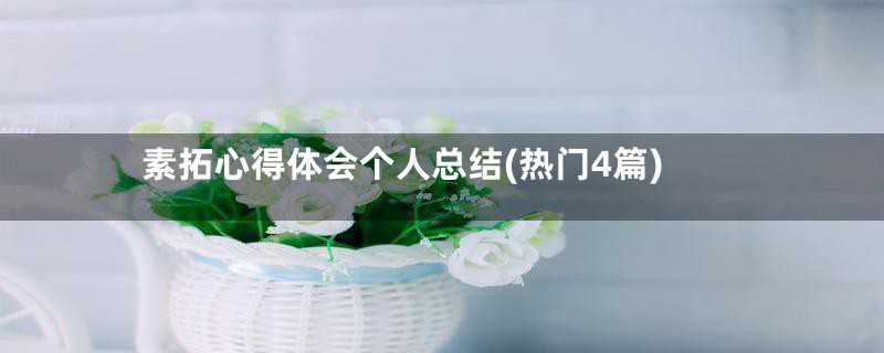 素拓心得体会个人总结(热门4篇)