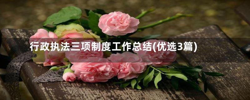行政执法三项制度工作总结(优选3篇)